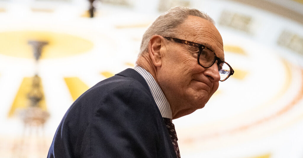 A Spurned Schumer Reaches Out to the Left