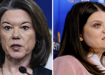 They’re Battle-Tested Democrats. Do Voters Care?