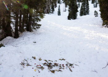 Internal Report on Avalanche That Killed 9 Skiers Assigns No Blame