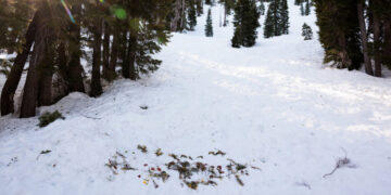 Internal Report on Avalanche That Killed 9 Skiers Assigns No Blame
