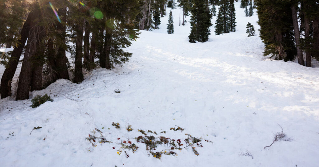 Internal Report on Avalanche That Killed 9 Skiers Assigns No Blame