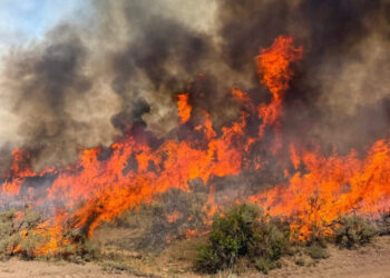 Firefighting Helicopter Crashes Near Utah Wildfire, Killing Two Onboard