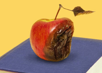 A Lot of the Attacks on Higher Ed Are Unfair. Not This One.