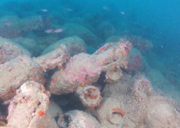 Italian Diver Discovers ‘Treasure at the Bottom of the Sea’ in Sicily