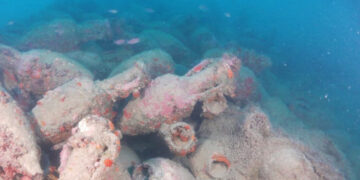 Italian Diver Discovers ‘Treasure at the Bottom of the Sea’ in Sicily