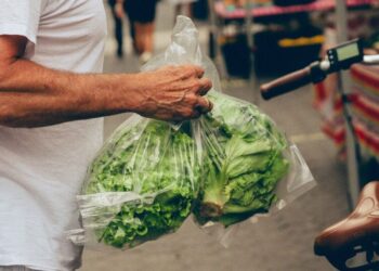 Worried About the Lettuce in Your Salad? Some New Yorkers Opt to Buy Local.