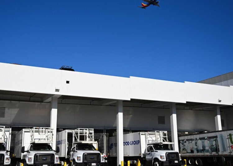 Workers Complain of Mold and Bugs at Airline Catering Facility
