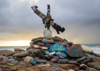 How ‘Harry Potter’ Fans Protected Dobby’s Grave From a Power Cable