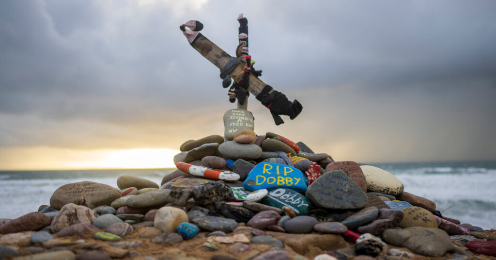 How ‘Harry Potter’ Fans Protected Dobby’s Grave From a Power Cable
