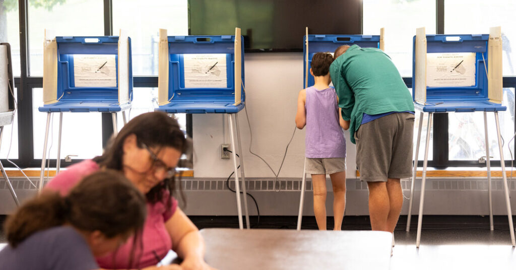 Polling Offers Few Answers in Key Minnesota Races