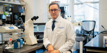 A.I. Is Finding Sperm Where Doctors Couldn’t