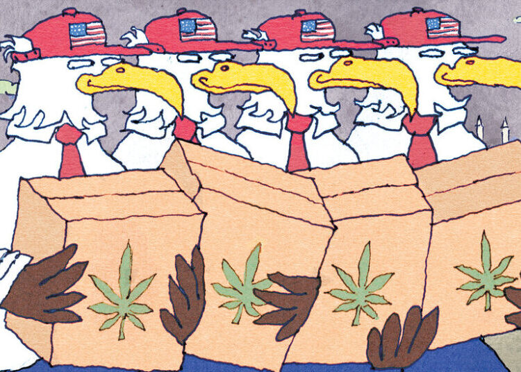 American Weed Is Going Global. Europe Is Not Ready.