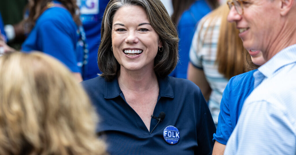 5 Things to Know About the Minnesota Senate Candidate Angie Craig