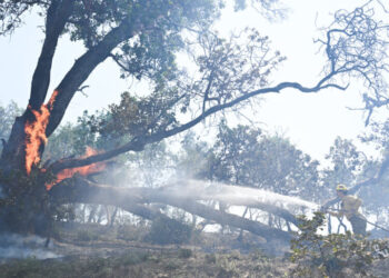 Wildfire Forces Evacuations in Big Sur, Along California’s Famed Northern Coast