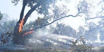 Wildfire Forces Evacuations in Big Sur, Along California’s Famed Northern Coast