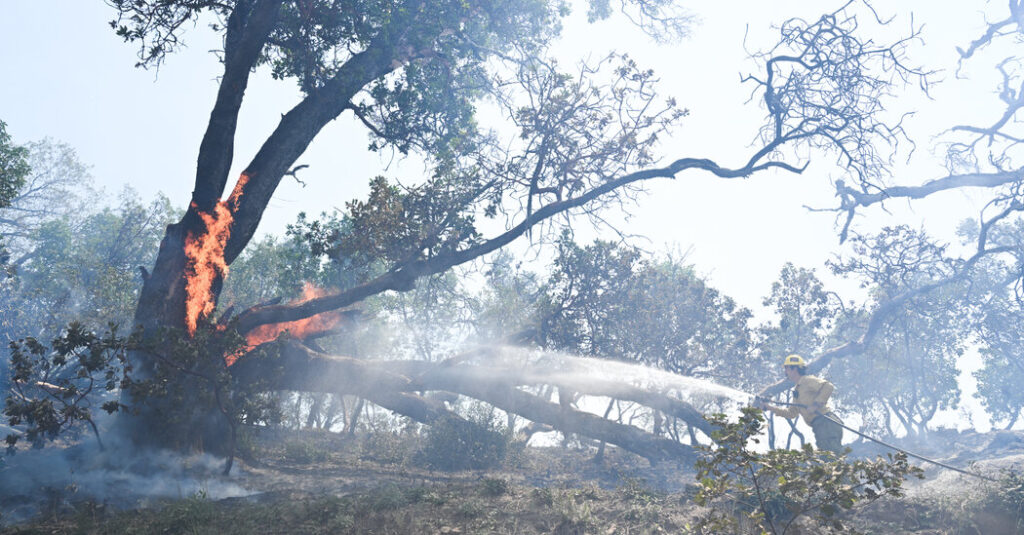 Wildfire Forces Evacuations in Big Sur, Along California’s Famed Northern Coast