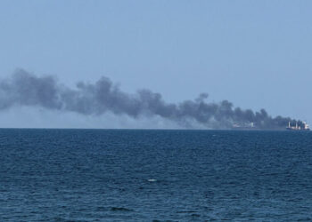 Russian Strikes on Dozens of Grain Ships Threaten Global Food Supplies