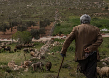 Israeli Settlers Are Out of Control. Could an Election Change That?