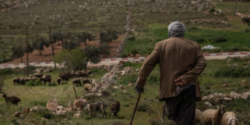 Israeli Settlers Are Out of Control. Could an Election Change That?