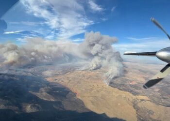 Woman Arrested After Confessing to Starting Nevada Fire, Officials Say