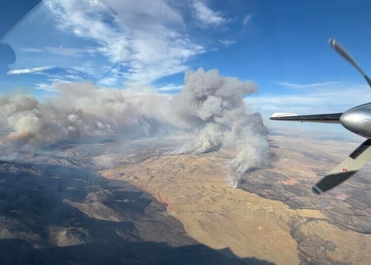 Woman Arrested After Confessing to Starting Nevada Fire, Officials Say