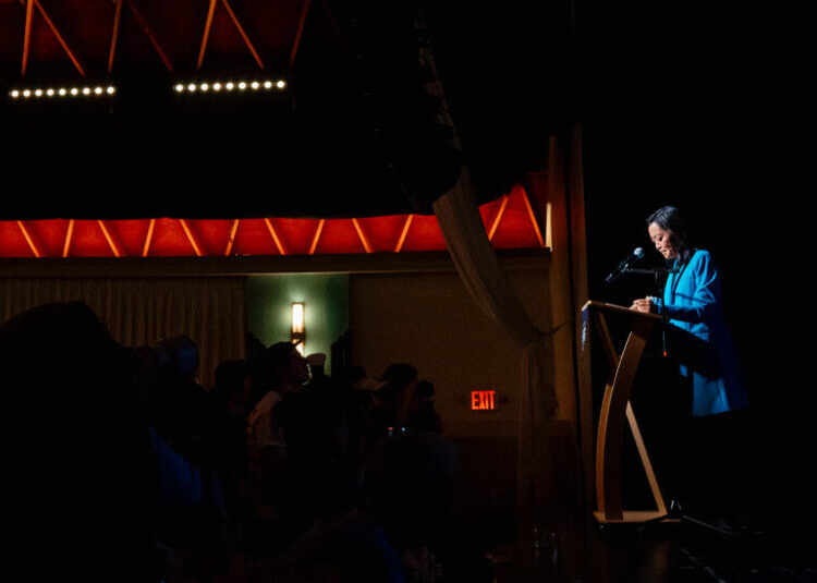 The Debate Over Democrats’ Future Rages On After Hong’s Defeat in Wisconsin