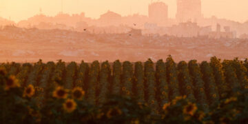 The Board of Peace Road Map for Gaza Gives Hope