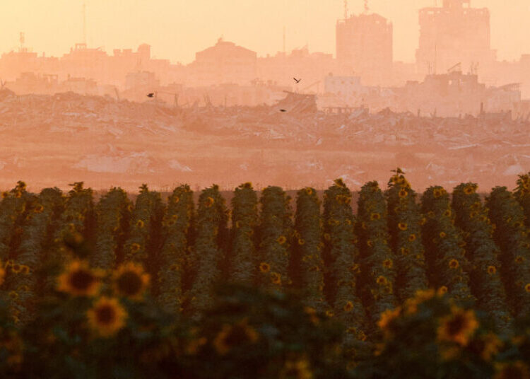 The Board of Peace Road Map for Gaza Gives Hope