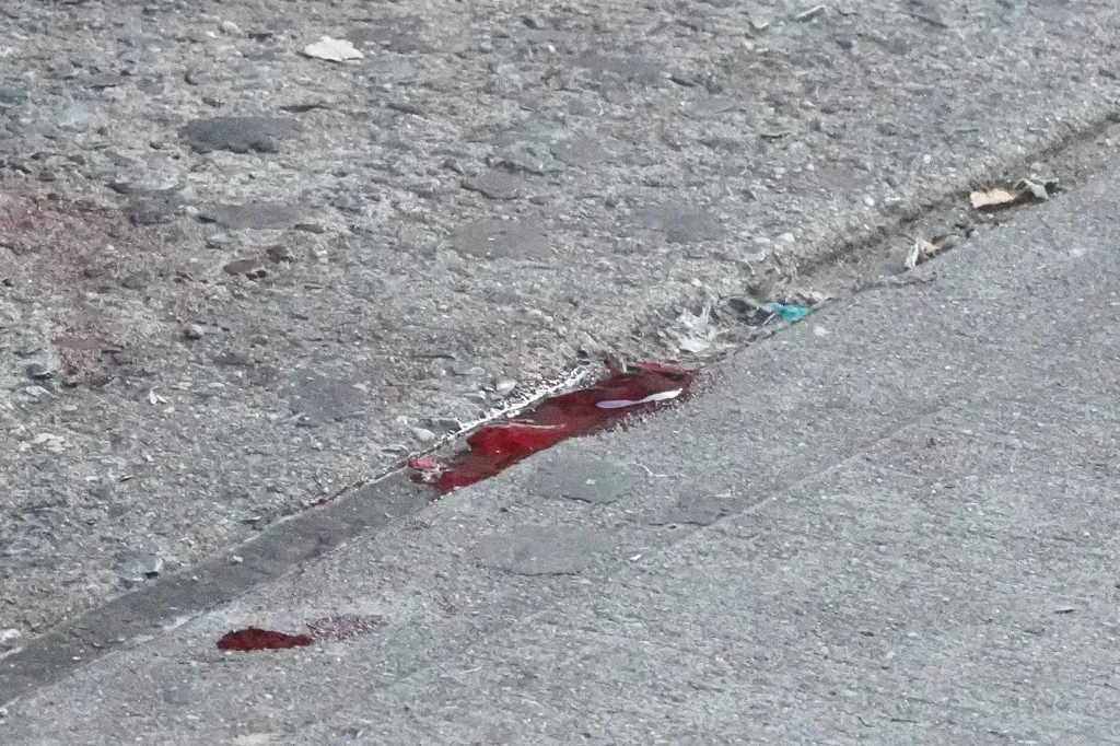 Bronx stabbing crime scene