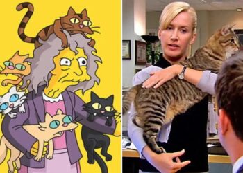 ‘Crazy cat ladies’ are real: Study reveals differences in how men and women bond with pets