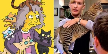 ‘Crazy cat ladies’ are real: Study reveals differences in how men and women bond with pets