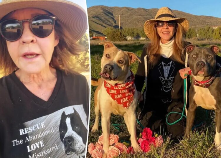 ‘Exorcist’ star Linda Blair speaks out after cops search home over reported 100-dog kennel operation