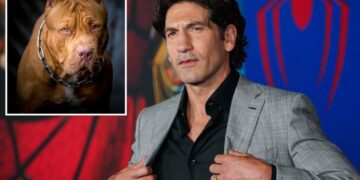 ‘Punisher’ star says pit bulls are victims of ‘dog racism’: ‘A lot of bulls–t’