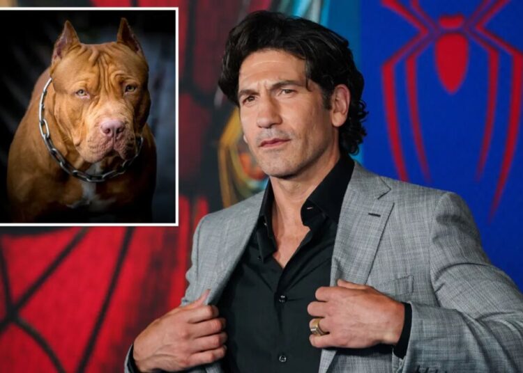 ‘Punisher’ star says pit bulls are victims of ‘dog racism’: ‘A lot of bulls–t’