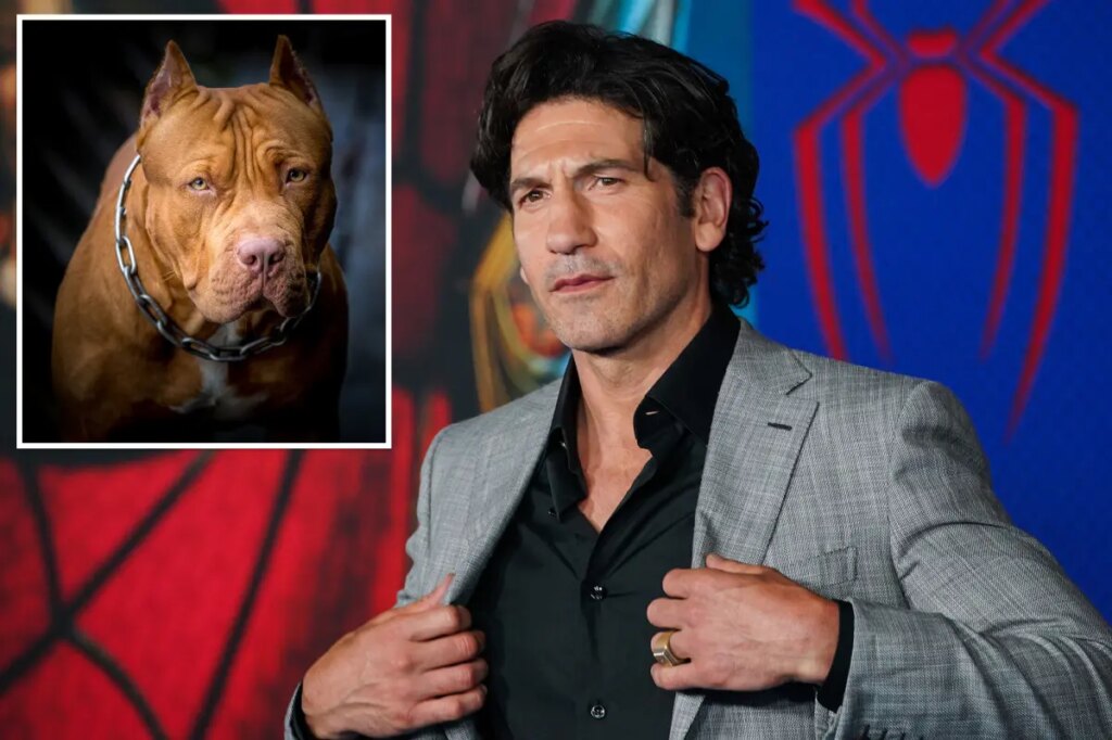 ‘Punisher’ star says pit bulls are victims of ‘dog racism’: ‘A lot of bulls–t’