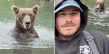 Fisherman takes selfie in front of ravenous grizzly in beary dangerous stunt