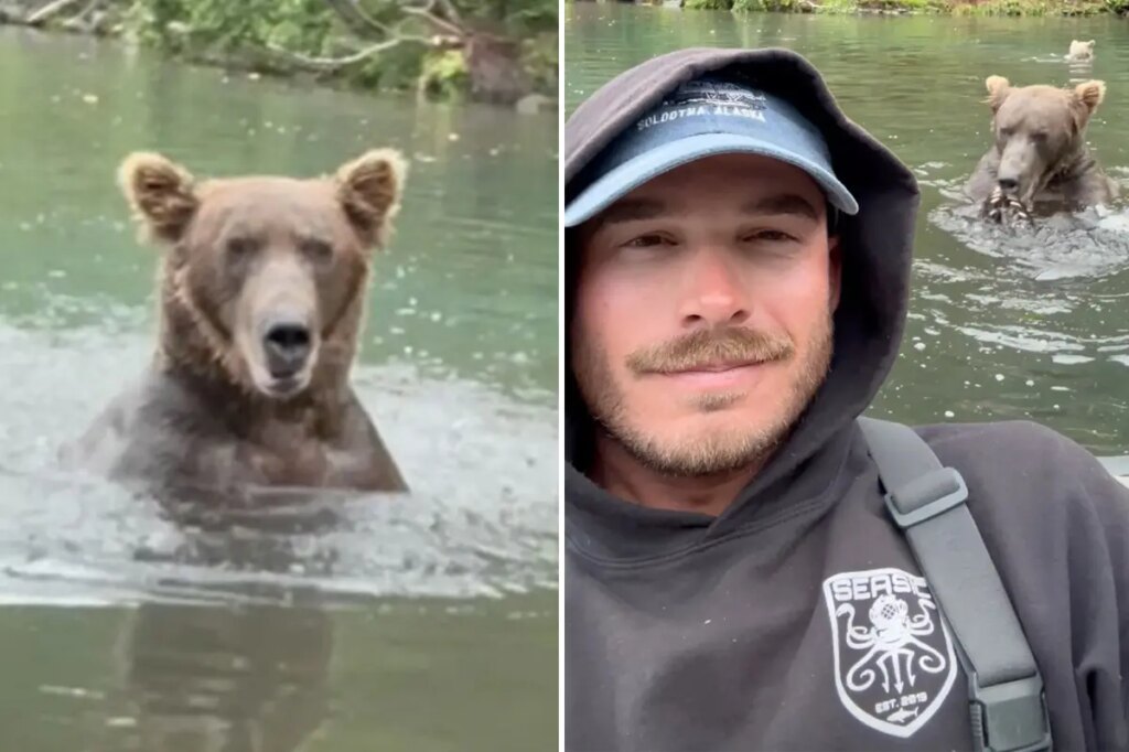 Fisherman takes selfie in front of ravenous grizzly in beary dangerous stunt