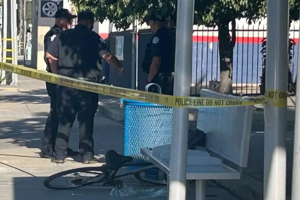 Rush hour horror as hatchet-wielding maniac hacks bicyclist in California