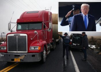 Trump admin lands dozens of immigration detentions in trucking crackdown operation