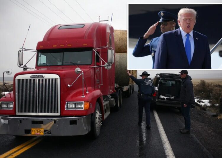 Trump admin lands dozens of immigration detentions in trucking crackdown operation