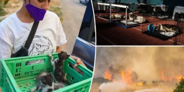 Hundreds of adorable pets and wild animals rescued after wildfire sweeps through Greek mountains