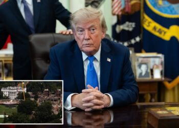 Trump posts image of fortified ‘drone port’ atop White House ballroom in rebuke to judges