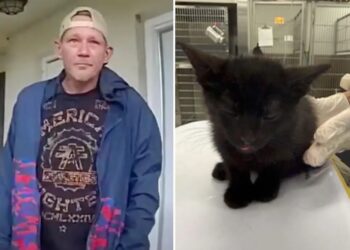 Man arrested for allegedly killing 2 cats, almost drowing another in twisted punishment for daughter