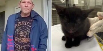Man arrested for allegedly killing 2 cats, almost drowing another in twisted punishment for daughter