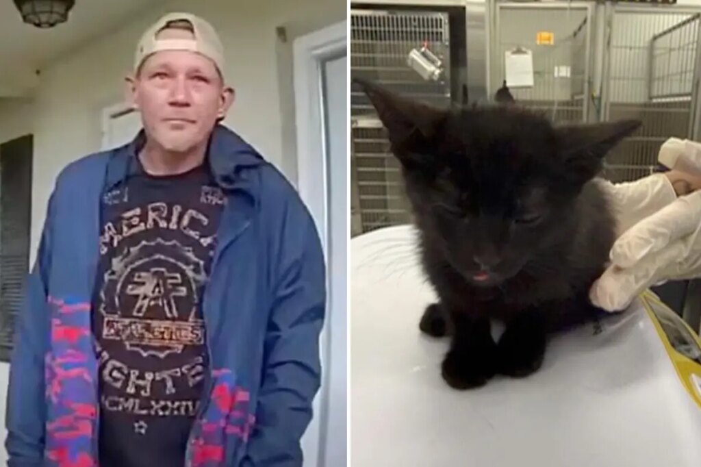 Man arrested for allegedly killing 2 cats, almost drowing another in twisted punishment for daughter