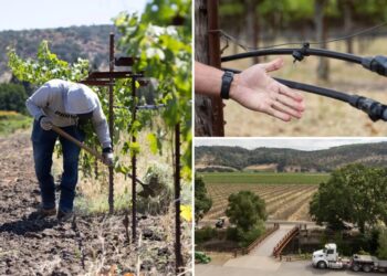 Napa bosses slap water fees on struggling wineries to achieve lefty ‘green’ goals