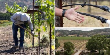 Napa bosses slap water fees on struggling wineries to achieve lefty ‘green’ goals