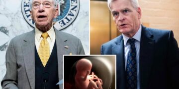 Pro-lifers push investigation into NIH using aborted baby organs and tissue in research