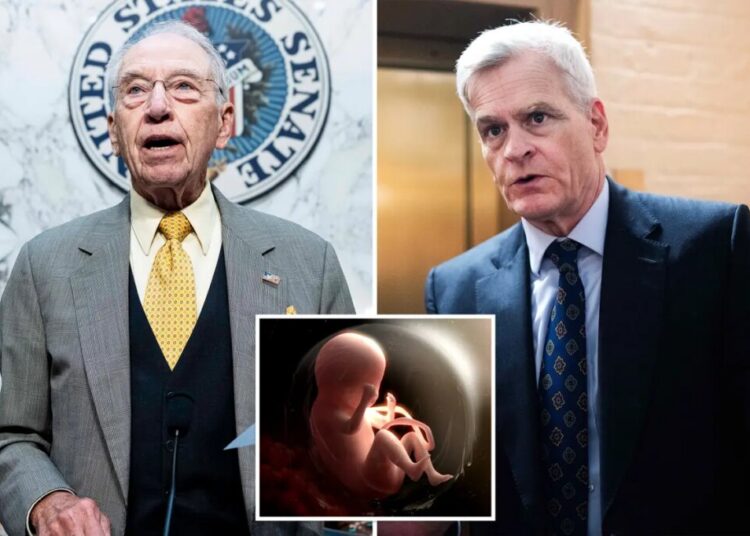 Pro-lifers push investigation into NIH using aborted baby organs and tissue in research