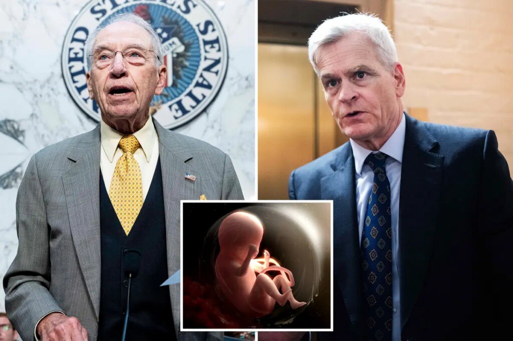 Pro-lifers push investigation into NIH using aborted baby organs and tissue in research